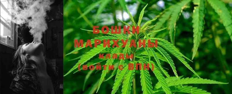 Бошки марихуана SATIVA & INDICA  дарнет шоп  Котовск 